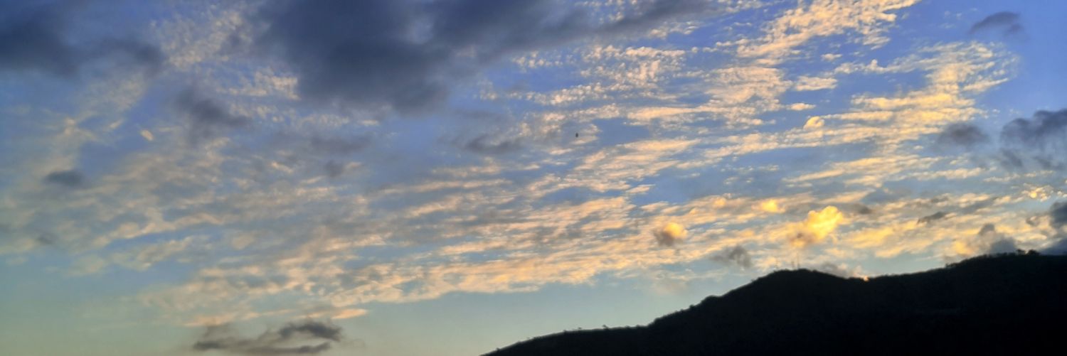 zwolf_zchz's profile banner image
