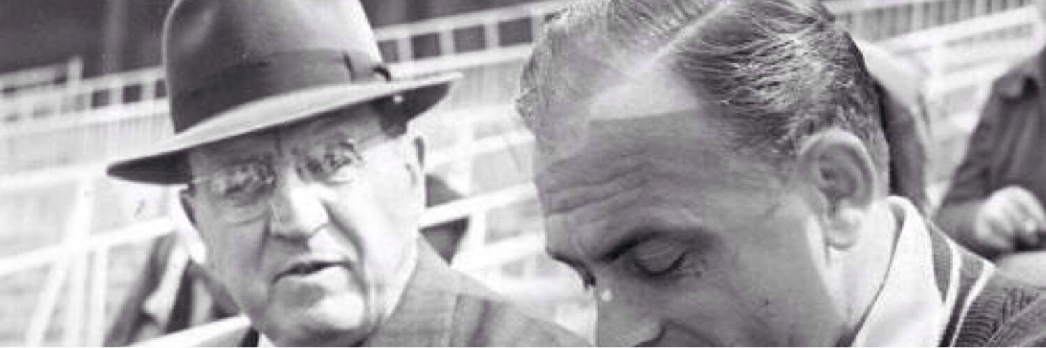 pinevano's profile banner image