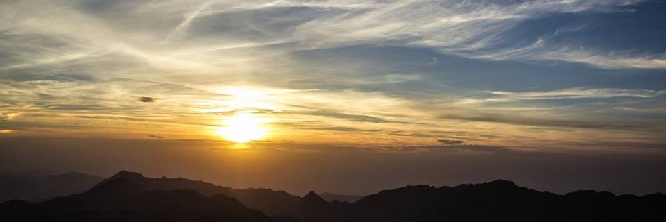 FarhatMichelle's profile banner image