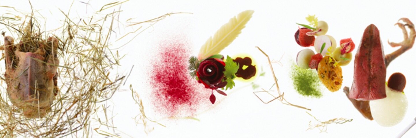 Sergio Herman banner