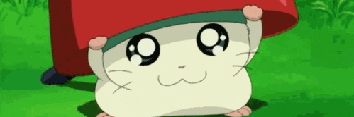 HamGorrilla's profile banner image