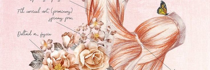 ius_27's profile banner image