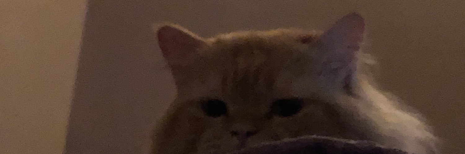 babz banner