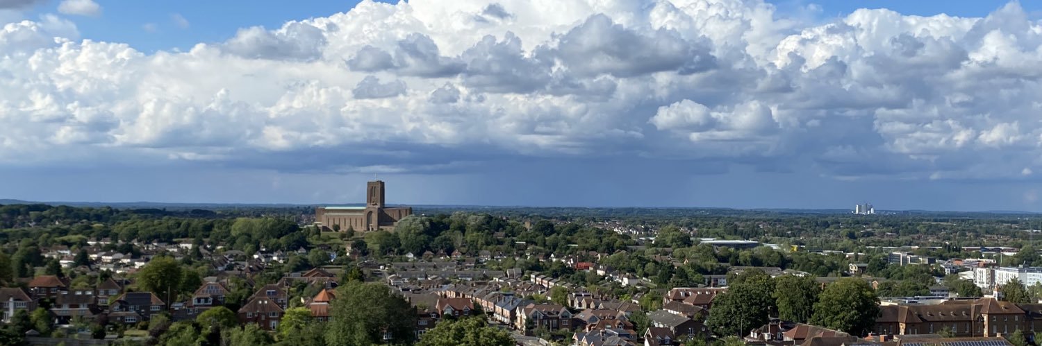 Guildford Labour Party banner
