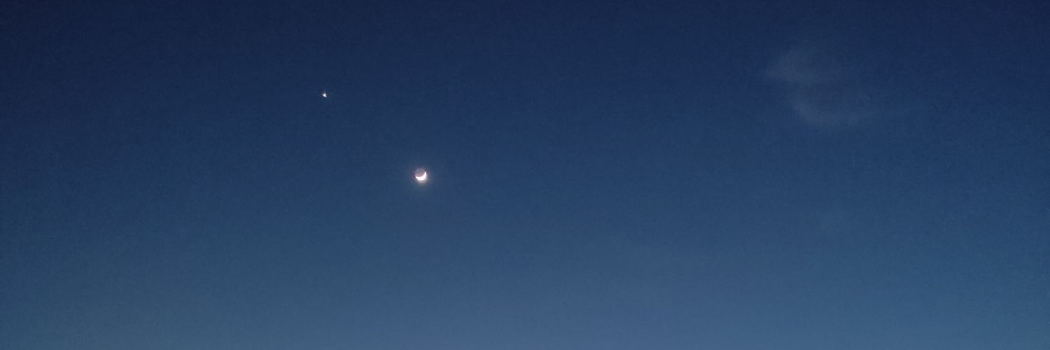 mmoreyen's profile banner image
