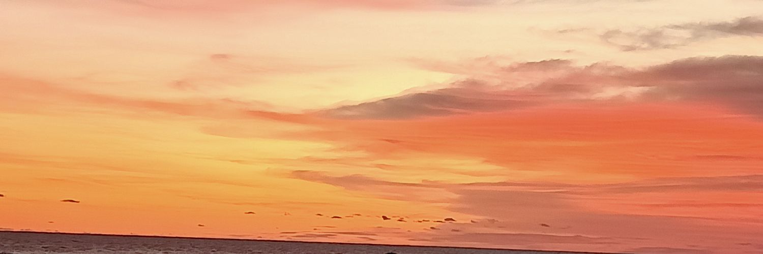 utta_69's profile banner image