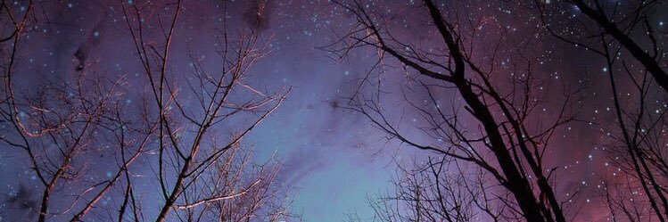 BOBLE_04's profile banner image