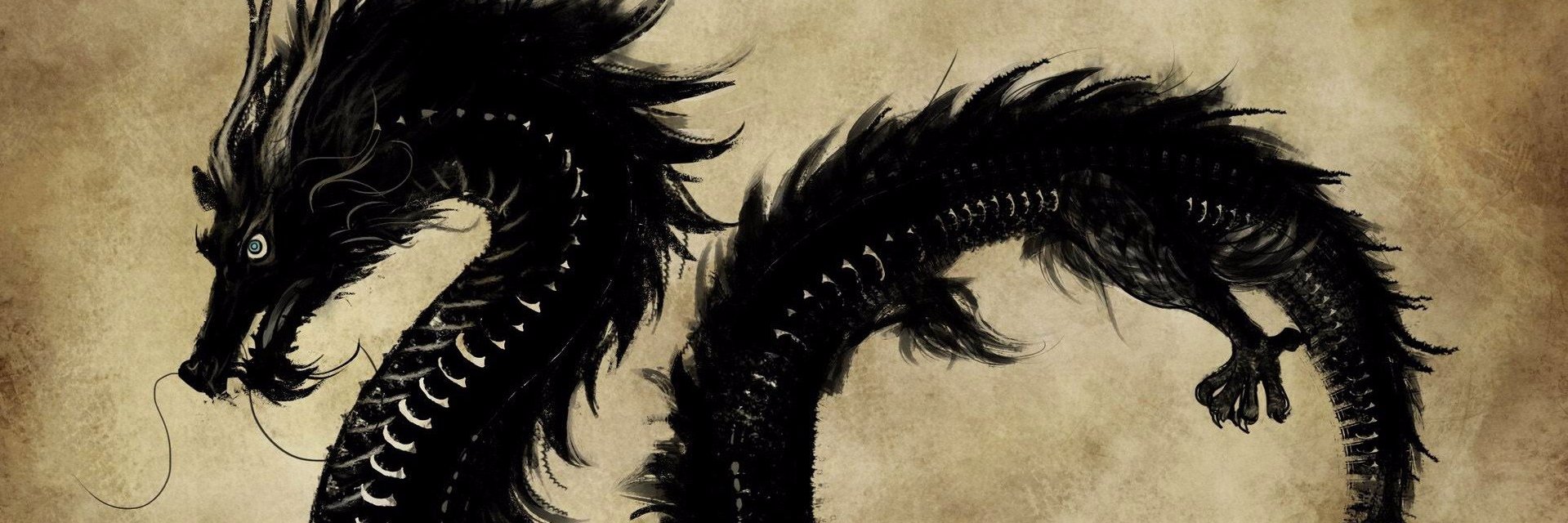 v0rreC9's profile banner image