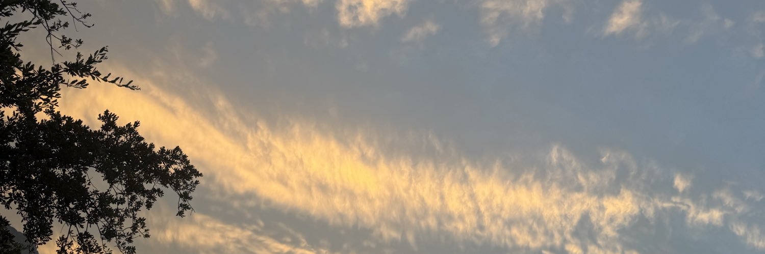 luisatorres's profile banner image