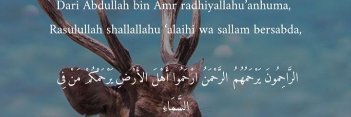 syarifahnhh's profile banner image