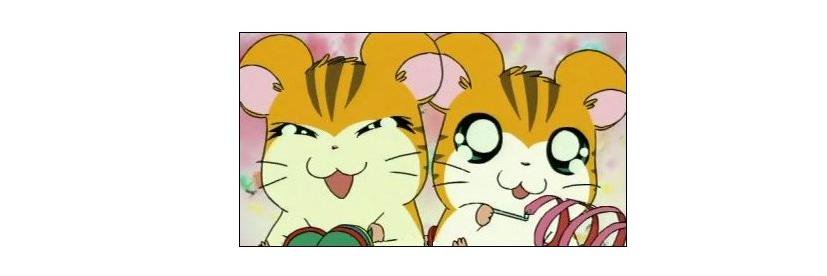HamTigrillo's profile banner image