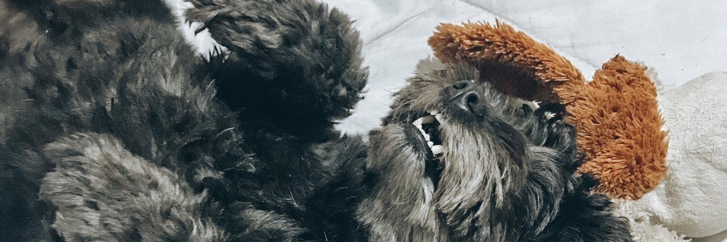AbrilGalvanOk's profile banner image