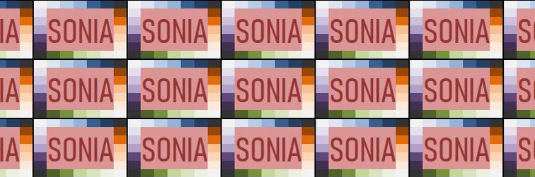 soni banner