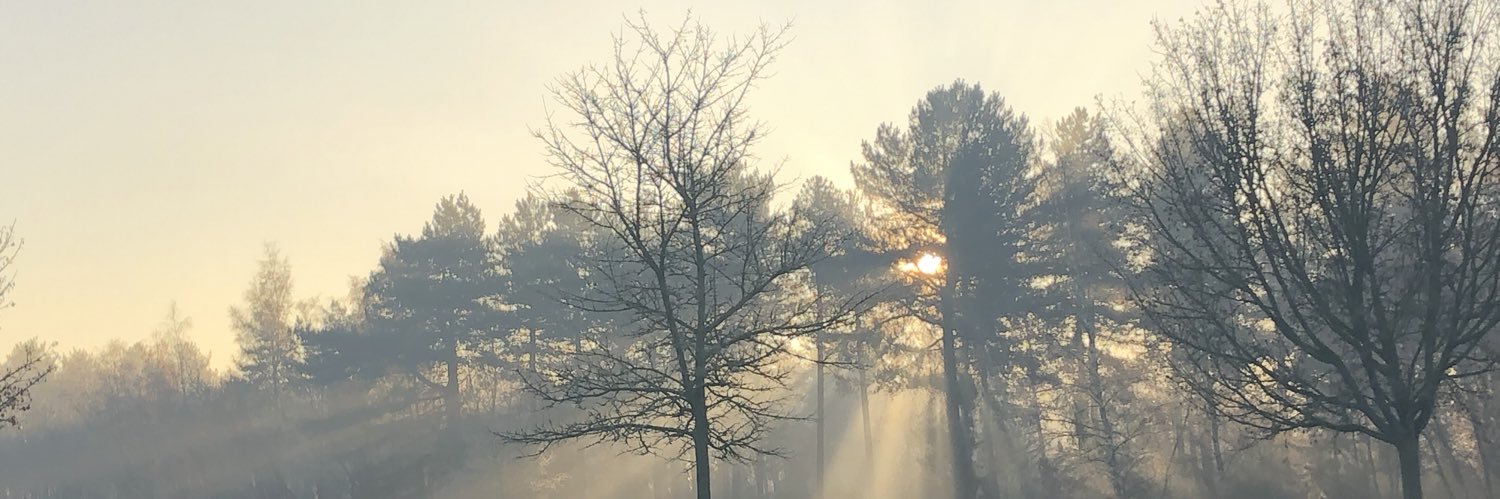 NatalieMach's profile banner image