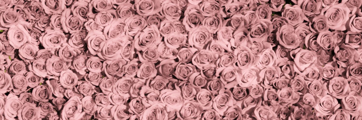 nadishaghsn's profile banner image