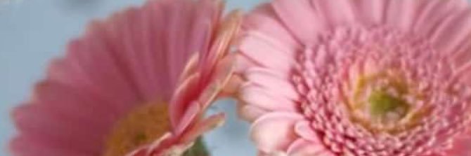 amer113344's profile banner image