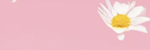 Jenkinsella1's profile banner image