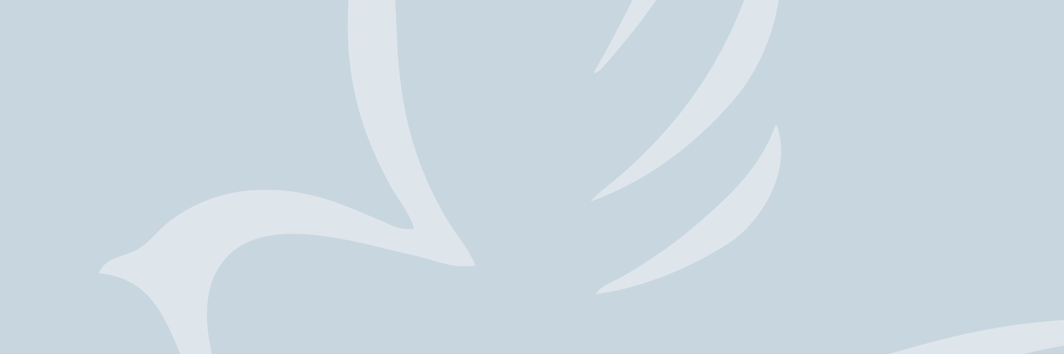 InfoSparrows's profile banner image