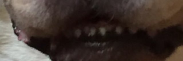 jillllchan's profile banner image