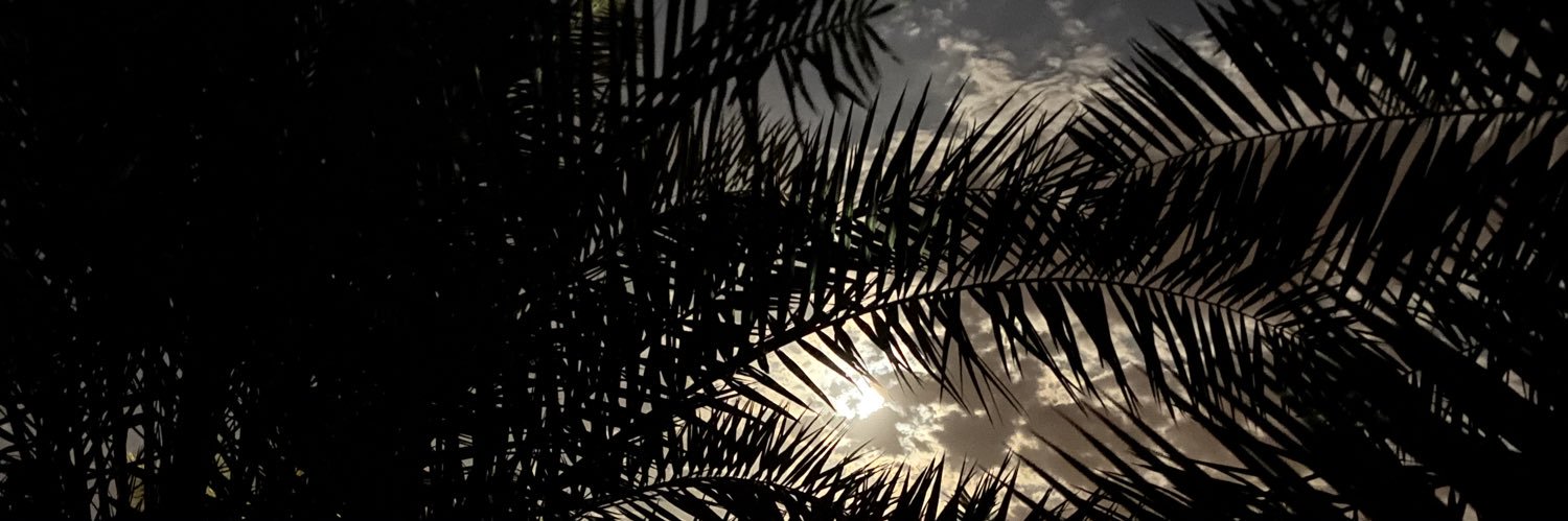 Basmhmsh's profile banner image