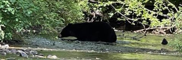 green_66 Profile Banner