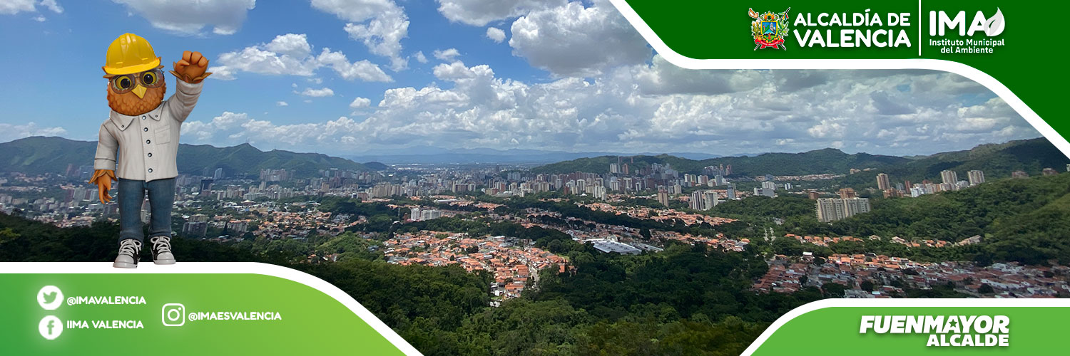 IMA Valencia banner