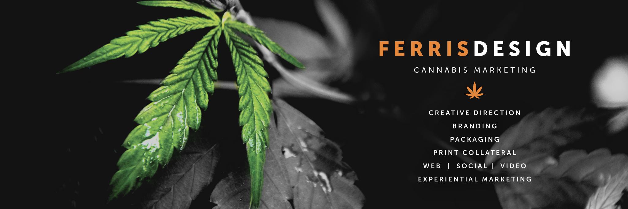 JylFerris's profile banner image