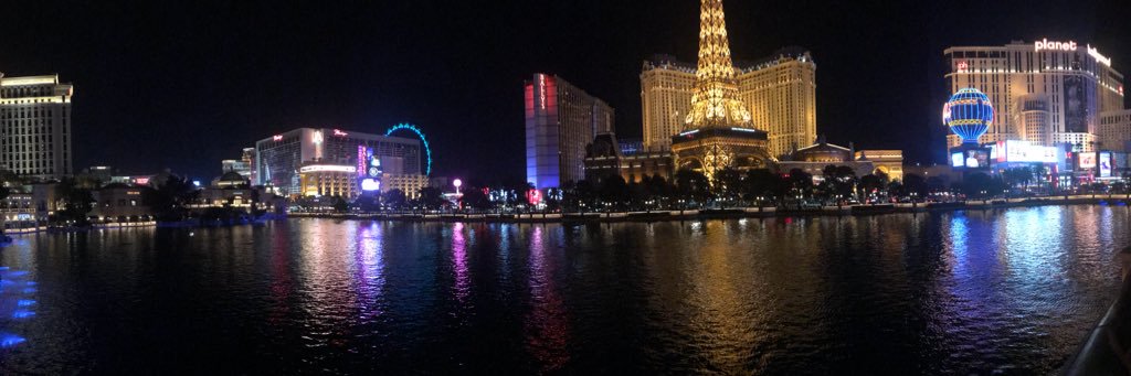damochandler's profile banner image