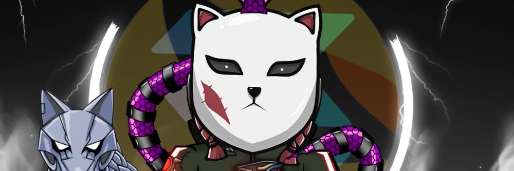 PaleR0nin banner