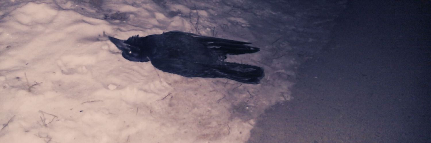 beeatchtaylor's profile banner image