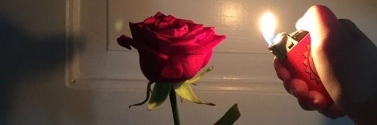 speranzaa__'s profile banner image
