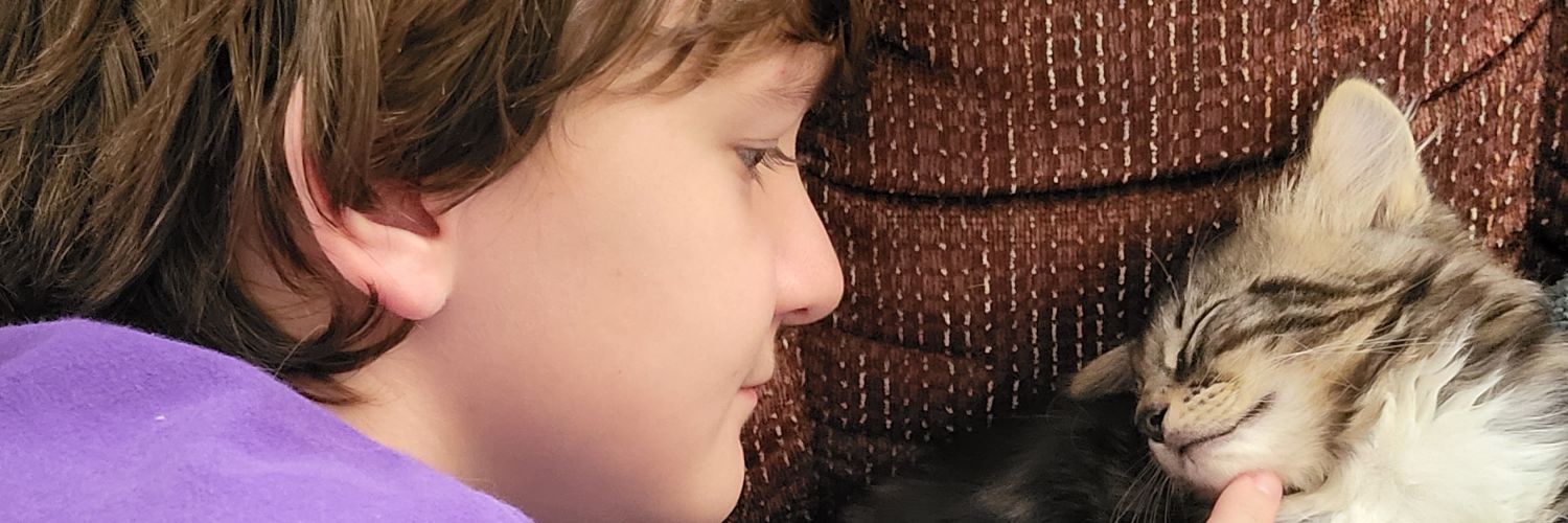 CathyMolique's profile banner image