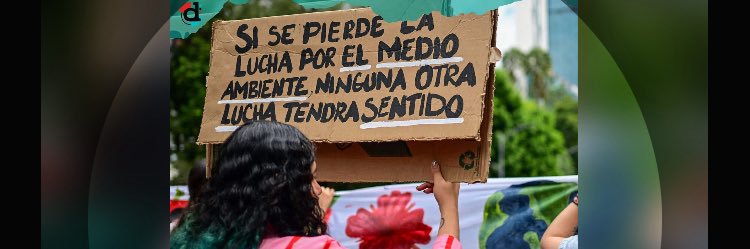 Teresa Roldán Soria 🦋🌸🌳🐝🕸🦉🦇🐈🦝🦔🐿🌿🐾🍁🌈 banner