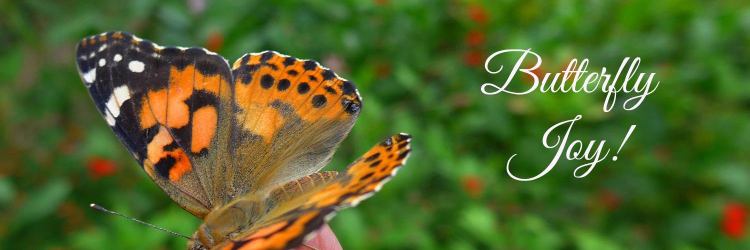 MyButterflyLady's profile banner image