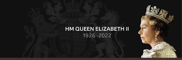 constantin patru banner