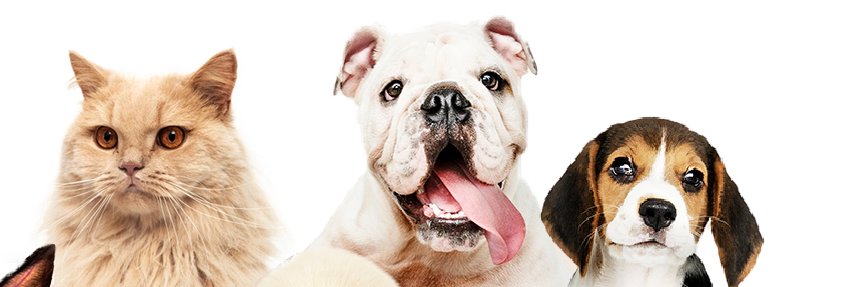 Radiobau banner