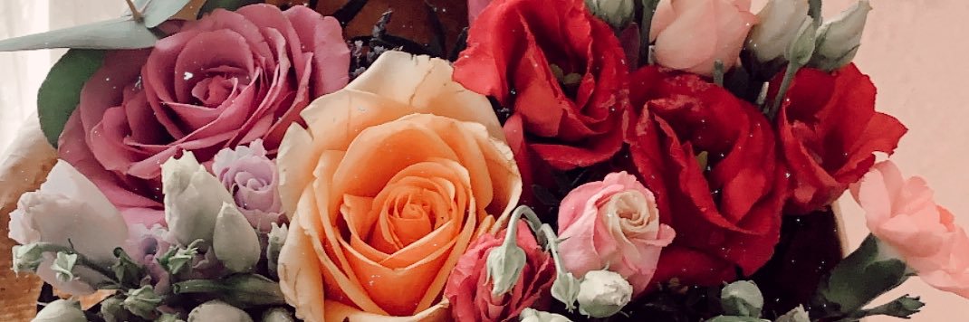 Maria Liria Pardo banner