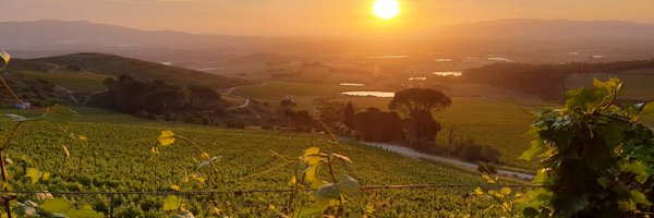 KrulkopM Profile Banner