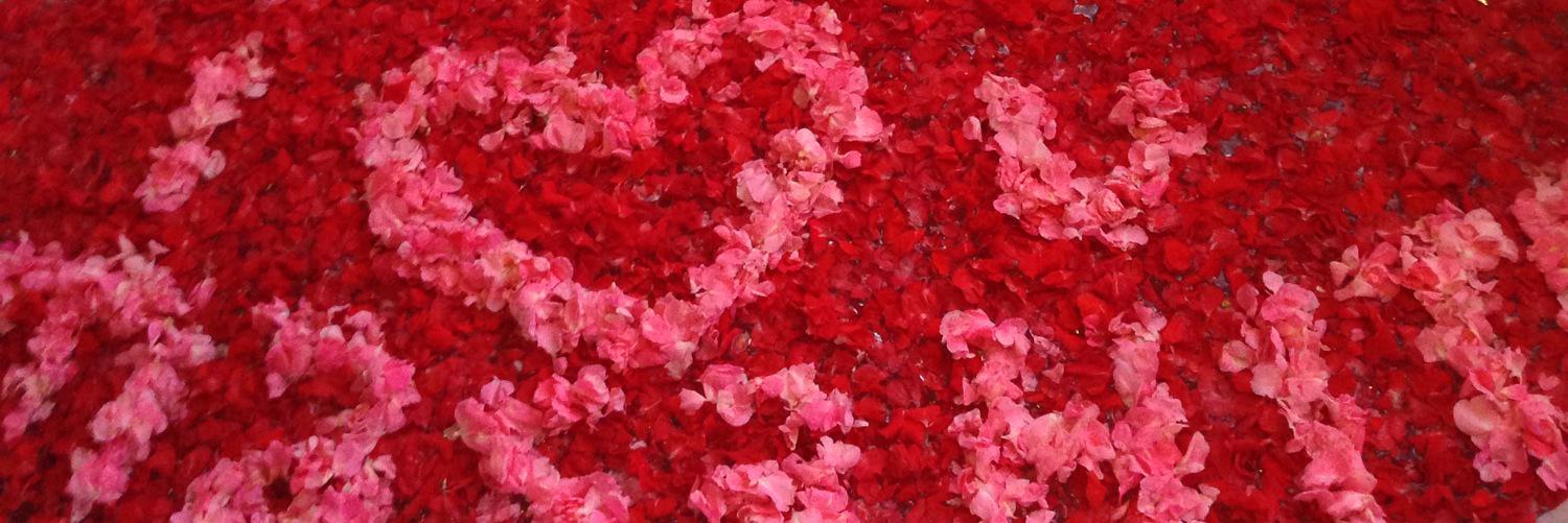 hika514's profile banner image