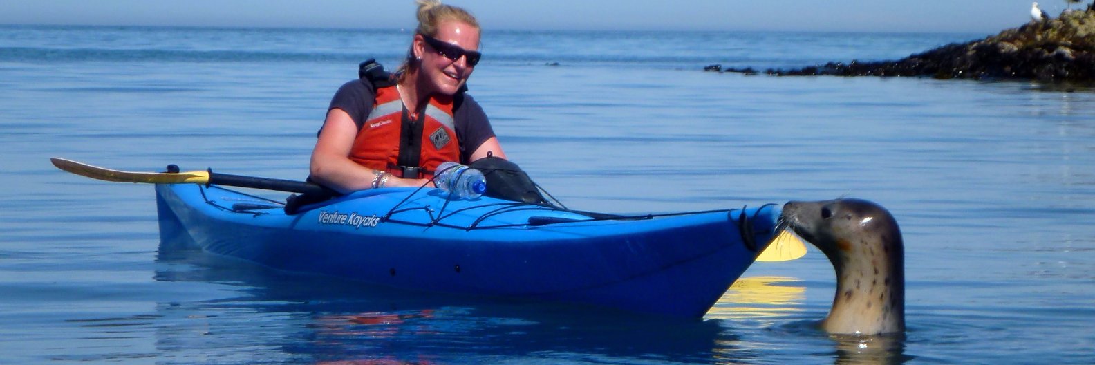 Sea Kayak Devon banner