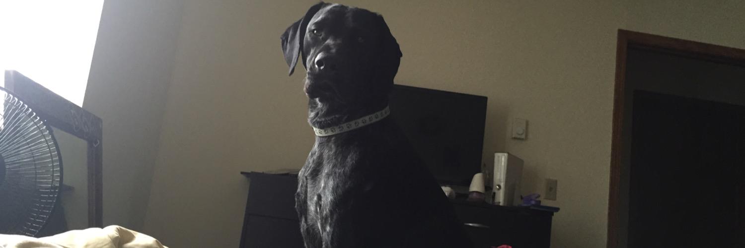 jericadawn20's profile banner image