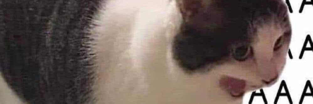 KattCocoa's profile banner image