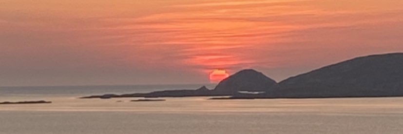 Prof Roisín Coll banner