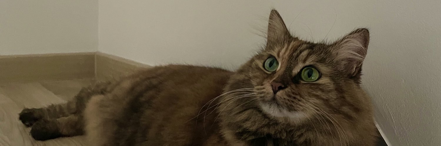 Amélie. banner