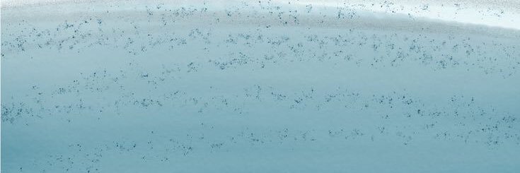 fikanshas's profile banner image