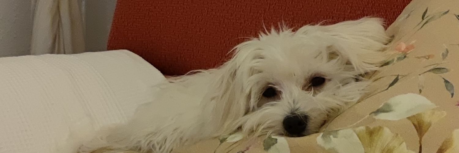 Luixgomez's profile banner image