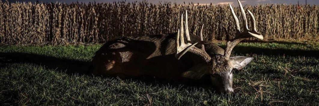 TannerPetree's profile banner image