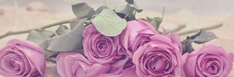ebttsaam's profile banner image