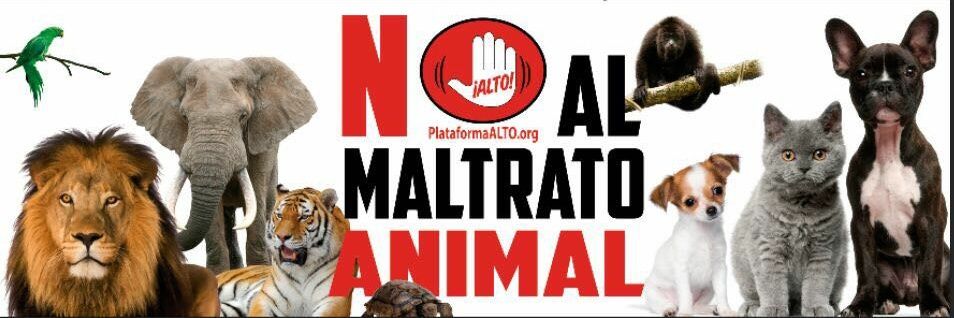 ⎛AɴᴛɪTᴀᴜʀɪɴᴏ⎞ banner