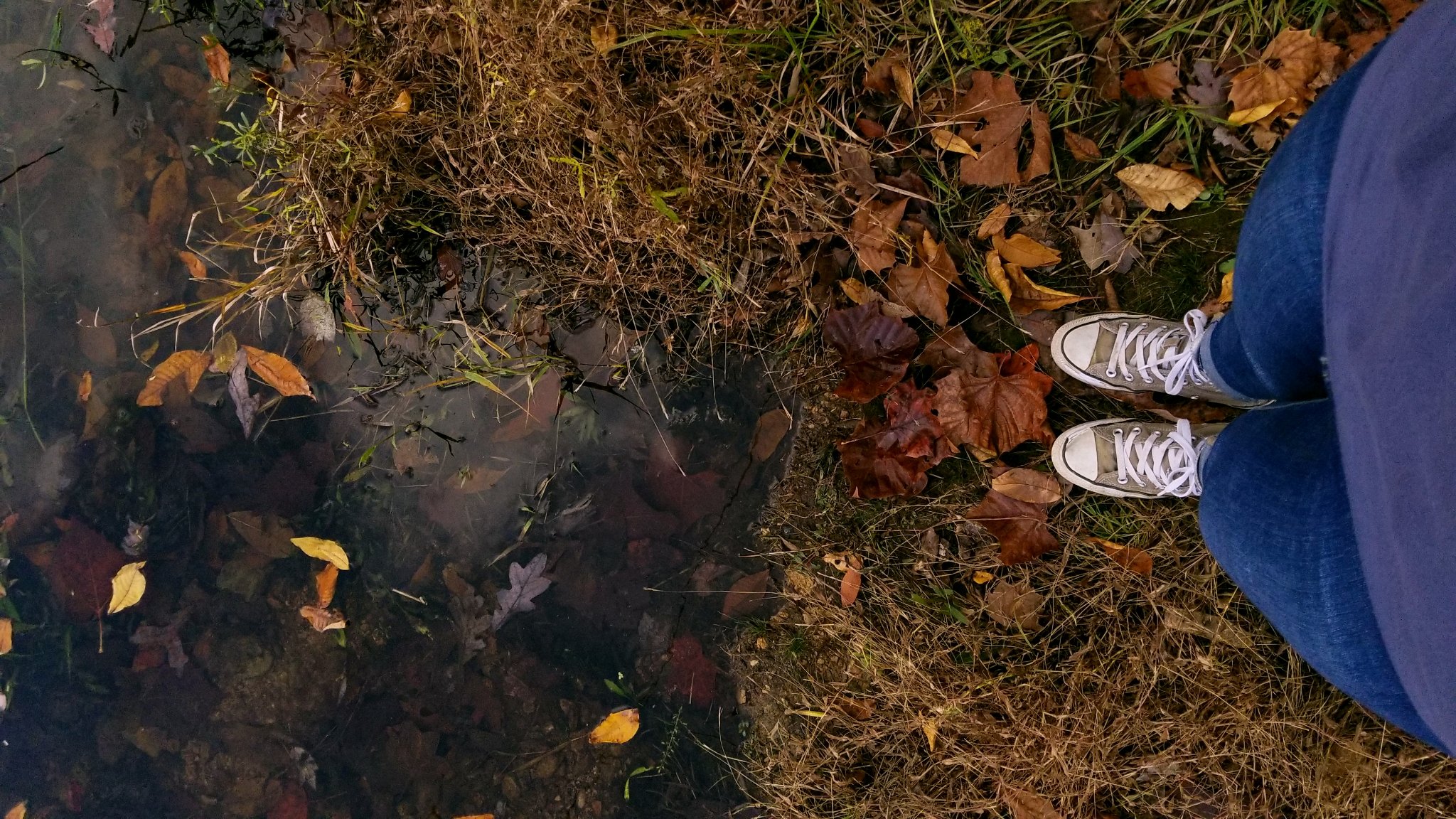 StepCarTom11's profile banner image